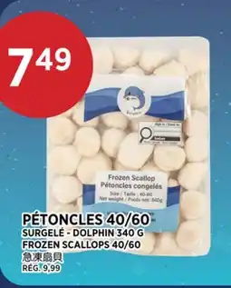 Kim Phat DOLPHIN, 340 G FROZEN SCALLOPS 40/60 offer