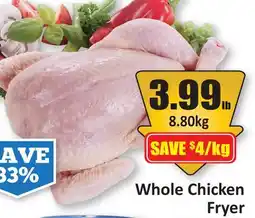 Starsky Whole Chicken Fryer offer
