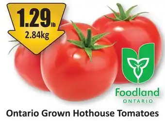 Starsky Ontario Grown Hothouse Tomatoes offer