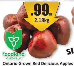 Starsky Ontario Grown Red Delicious Apples offer