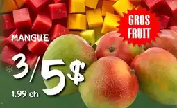 Marche Salaberry MANGUE offer