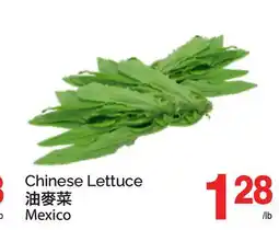 T&T Supermarket CHINESE LETTUCE offer