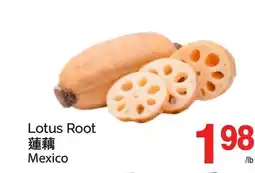 T&T Supermarket LOTUS ROOT offer