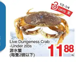 T&T Supermarket LIVE DUNGENESS CRAB-Under 2lbs offer