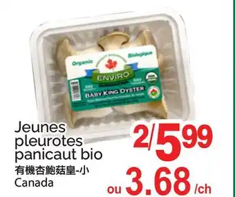 T&T Supermarket JEUNES PLEUROTES PANICAUT BIO offer