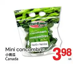 T&T Supermarket MINI CONCOMBRE offer