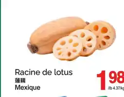 T&T Supermarket RACINE DE LOTUS offer