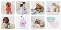 Petsmart Dreamy Beginnings collection starting at $ 5.99 offer