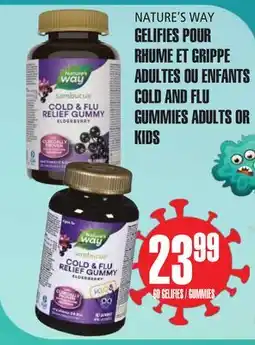 Marches Tau GELIFIES POUR RHUME ET GRIPPE ADULTES OU ENFANTS NATURE'S WAY offer