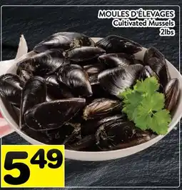 Supermarché PA MOULES D'ÉLEVAGES | Cultivated Mussels offer
