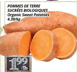 Supermarché PA POMMES DE TERRE SUCRÉES BIOLOGIQUES | Organic Sweet Potatoes offer