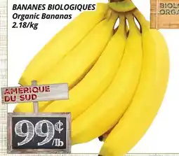 Supermarché PA BANANES BIOLOGIQUES | Organic Bananas offer