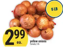 Marché Adonis Yellow onions offer