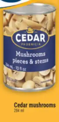 Marché Adonis Cedar mushrooms offer