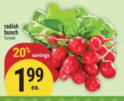 Marché Adonis Radish bunch offer