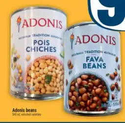 Marché Adonis Adonis beans offer
