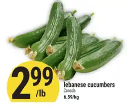 Marché Adonis Lebanese cucumbers offer