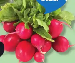 IGA LEAF RADISHES offer