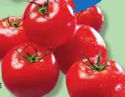 IGA GREENHOUSE RED TOMATOES offer