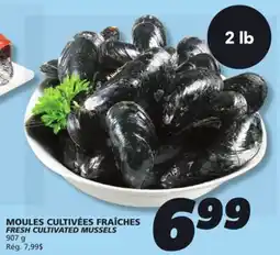 IGA FRESH CULTIVATED MUSSELS offer