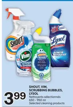 Brunet SHOUT, VIM, SCRUBBING BUBBLES, LYSOL Nettoyants sélectionnés offer