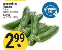 Marché Adonis Concombres libanais | Lebanese cucumbers offer