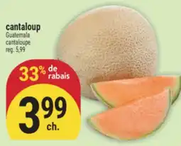 Marché Adonis Cantaloup | Cantaloupe offer
