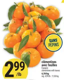 Marché Adonis Clémentines Avec Feuilles | Clementines With Leaves offer