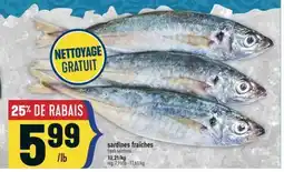 Marché Adonis Sardines Fraîches | Fresh Sardines offer