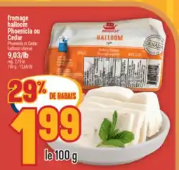 Marché Adonis Fromage halloom Phoenicia ou Cedar | Phoenicia or Cedar halloom cheese offer