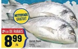 Marché Adonis Daurade Royale | Royal sea bream offer