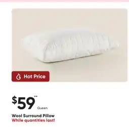 Dormez Vous Wool Surround Pillow offer