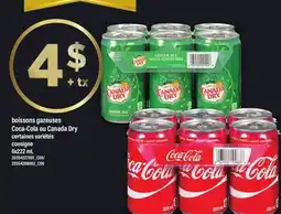 Maxi BOISSONS GAZEUSES COCA-COLA OU CANADA DRY offer