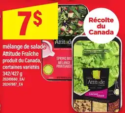 Maxi MÉLANGE DE SALADE ATTITUDE FRAÎCHE, 342/427 G offer