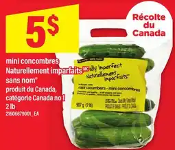 Maxi MINI CONCOMBRES NATURELLEMENT IMPARFAITS SANS NOM , 2 lb offer