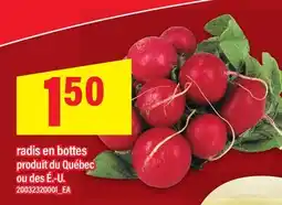 Maxi RADIS EN BOTTES offer