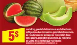 Maxi CANTALOUP OU MELON MIE OU MINI MELON D'EAU SANS PÉPINS offer