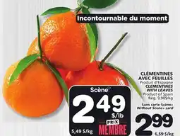 Marches Tradition CLEMENTINES WITH LEAVES offer