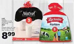 Marches Tradition NATREL FINEMENT FILTRÉ LACTANTIA MILK offer