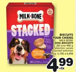 Marches Tradition MILK-BONE DOG BISCUITS offer