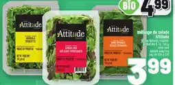 Metro MÉLANGE DE SALADE ATTITUDE | ATTITUDE SALAD MIX offer