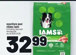 Metro NOURRITURE POUR CHIENS IAMS | IAMS DOG FOOD offer