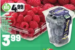 Metro BLEUETS SUPER JUMBO | EXTRA LARGE BLUEBERRIES OR RASPBERRIES offer