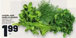 Metro CORIANDRE, ANETH, MENTHE OU CIBOULETTE | CILANTRO, DILL, MINT OR CHIVES offer