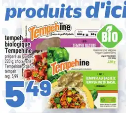 Metro TEMPEH BIOLOGIQUE TEMPEHINE | TEMPEHINE ORGANIC TEMPEH offer