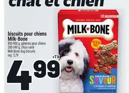 Metro BISCUITS POUR CHIENS MILK-BONE | MILK-BONE DOG BISCUITS offer
