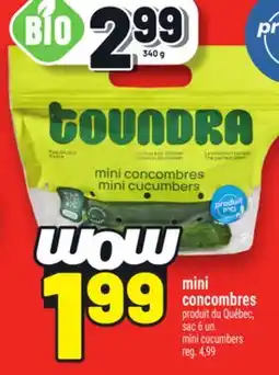 Metro MINI CONCOMBRES | MINI CUCUMBERS offer