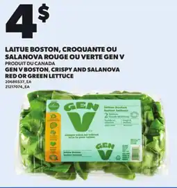 Provigo GEN V BOSTON, CRISPY AND SALANOVA RED OR GREEN LETTUCE offer