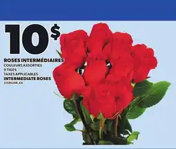 Provigo INTERMEDIATE ROSES, 9 TIGES offer