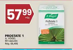 Rachelle-Bery Grocery A. VOGEL PROSTATE 1 offer